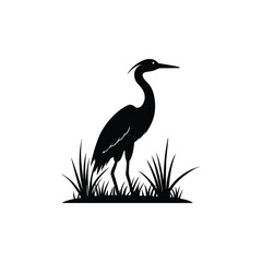 heron of green grass