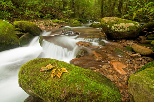 Cosby Creek, Great Smoky Mountains National Park
