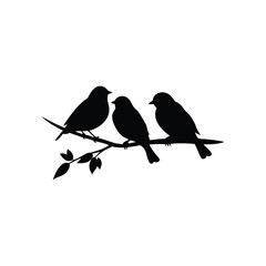 silhouette of a bird