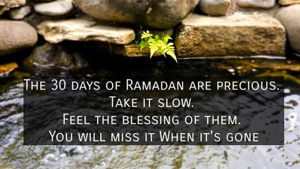 Inspirational and motivational quote about Ramadan, the holy month - the 30 days of Ramadan are precious. Take it slow. Feel the blessing of them. Stone at pond natural background.