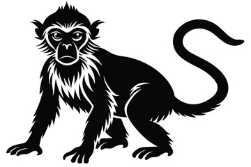 Obraz premium Monkey animal Silhouette isolated on white background