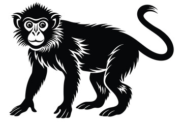 Fototapeta premium Monkey animal Silhouette isolated on white background