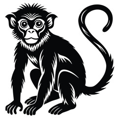 Obraz premium Monkey silhouette illustration in white background