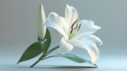 Fototapeta premium Elegant White Lily Bloom on Soft Background