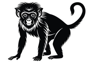 Obraz premium black and white Monkey silhouette