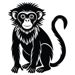 Obraz premium black and white Monkey silhouette