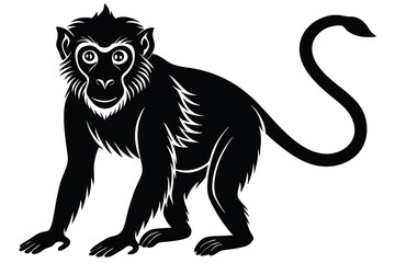 Obraz premium monkey silhouette