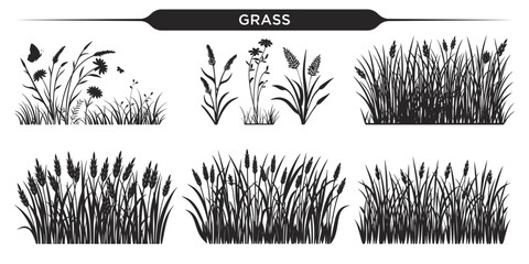 Silhouettes of various grass illustrations