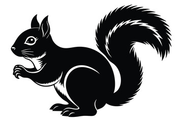 Fototapeta premium squirrel silhouette