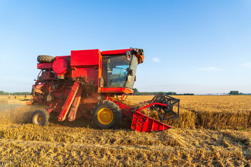 The combine is harvesting the wheat in the evening