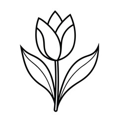 vector illustration of a flower