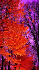 Amber and crimson hues blending with purple as falling leaves whirl in air, trees, purple sky
