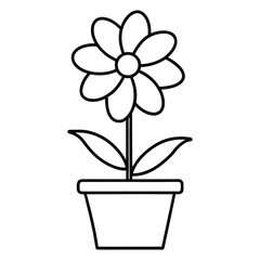 flower in pot