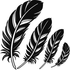 Obraz premium Elegant Feather Silhouette Collection.