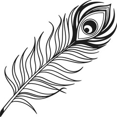 Obraz premium Graceful Peacock Feather Silhouette.
