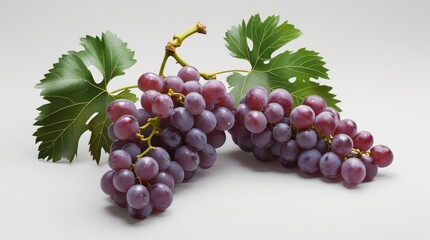 Fototapeta premium Red Grape Cluster