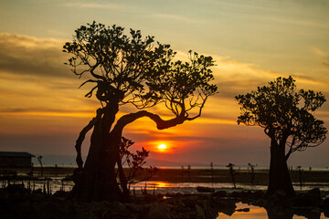 East Sumba, East Nusa Tenggara, Indonesia &ndash;  06. 20. 2024 &ndash; Sunset and Dancing Mangroves in Sumba