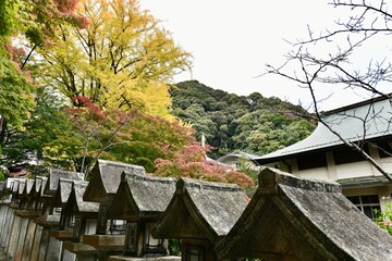 Fototapeta premium 大阪の信貴山朝護孫子寺の虎と寺