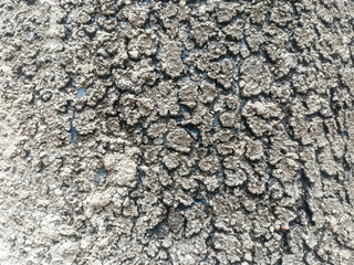 rough and cracked surface texture, giving a natural and uneven impression.
