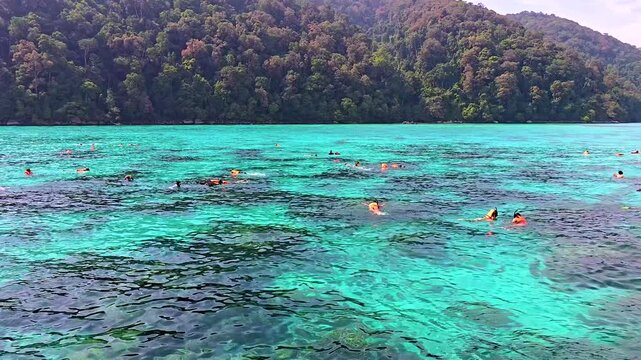 Immerse in the vibrant marine life at Surin Island, Thailand. Enjoy a day of snorkeling among colorful fish and stunning coral reefs, surrounded by lush green landscapes and sparkling waters.