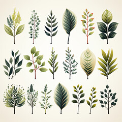 Naklejka premium Diverse collection of unique leaves showcasing different shapes, textures, and shades against a natural backdrop