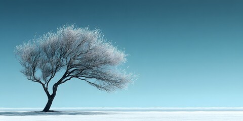 Solitary Winter Tree: A Minimalist Landscape