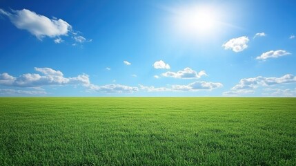 Obraz premium Bright and Lush Green Field Under a Clear Blue Sky with Sunlight