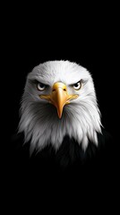 Obraz premium Bald Eagle Portrait Majestic Bird of Prey Close-Up