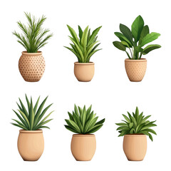 Fototapeta premium Various Indoor Plants in Decorative Pots for Home Decor