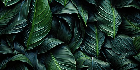Fototapeta premium Black banana leaves in abstract dark art style Save to Library Download Preview Preview Crop Find Similar 