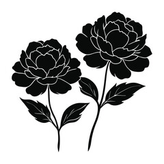 vector illustration of a flower, A Cosmos flower silhouette