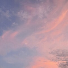 Obraz premium pink sky