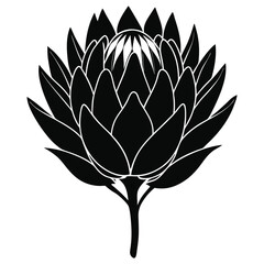 vector illustration of lotus, A flower silhouette