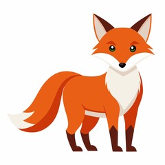 Obraz premium red and white fox isolated on white background