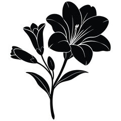 A Freesia flower silhouette