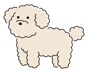 かわいいトイプードルのベクターイラスト。犬、ペット
