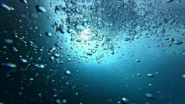 Sardine run in Moalboal, Philippines. Underwater bubbles. Cebu island snorkeling and scuba diving tourist destination. 