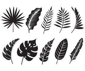 Obraz premium Tropical leaves realistic leaf silhouette collection