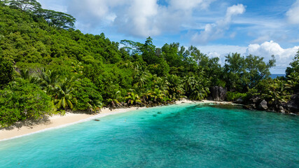 A tropical beach lined with palm trees and turquoise lagoon, surrounded by lush vegetation. Seychelles, Mahe. Butzel Beach.
