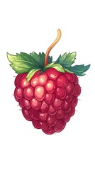 Isolated illustration of a red raspberry