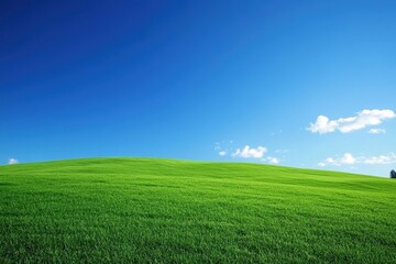 Obraz premium Rolling green hills under a vibrant blue sky. Perfect for illustrating nature, serenity, or environmental themes.