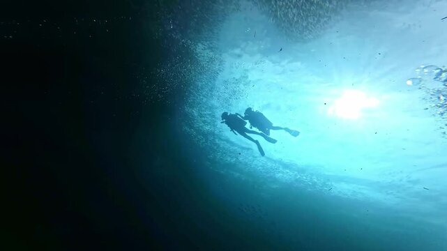 School of sardines in Moalboal, Cebu Island, Philippines. sardine run, snorkeling and scuba diving tourist destination. 