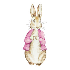 Obraz premium Watercolor Peter Rabbit in a Pink Jacket, illustration