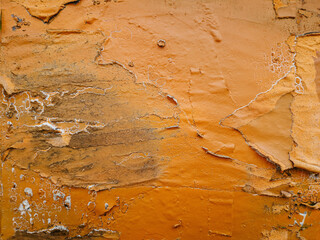 Close Up of Weathered Orange Bark Texture Highlighting Organic Patterns and Rough Details