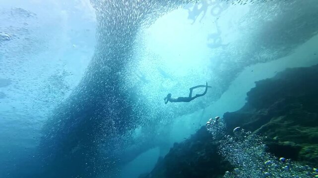 Freediver swims by school of sardines, Moalboal Philippines. snorkeling and scuba diving tourist destination. 