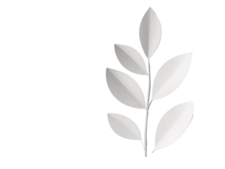 A minimalist white logo contrasts beautifully with a gentle, cloud-inspired backdrop, evoking a tranquil and contemporary vibe.