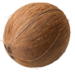 coconut isolated on white, Deliciously nutritious Close-up of a halved coconut, showcasing its white flesh.