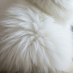 White Cat Fur Background