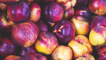 Fresh juicy red ripe nectarines in a packhouse warehouse fruit handling belts boxes manufacturing sorting central otago new zealand