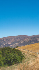 Fruit farm orchard central otago new zealand nectarine apricot peach beautiful landscape scenery mountains hills blue sky summer